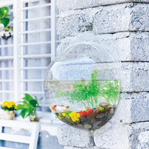 iplusmile Wall Mounted Planter 6.7 Inch, Clear Acrylic Hanging Bubble Vase for Plant Propagation Air Plants, Shatterproof Round Terrarium Bowl for Home Office Decor - size: 7 Inch