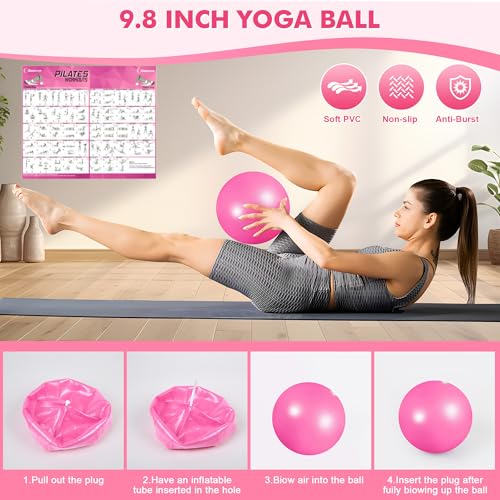 Goocrun Pilates Ring Set Exercise Equipment, with Exercise Resistance Bands Set, Pilates Ball, Sliding Disks. Portable Home Gym - with Fitness Guide Poster - color: Pink, size: Basic-level