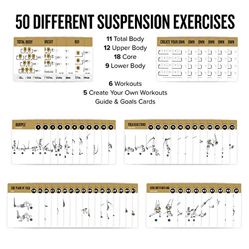 NewMe Fitness Suspension Workout Cards, Instructional Fitness Deck for Women & Men, Beginner Fitness Guide to Training Exercises at Home or Gym (Suspension, Vol 2) - style: Suspension Vol2