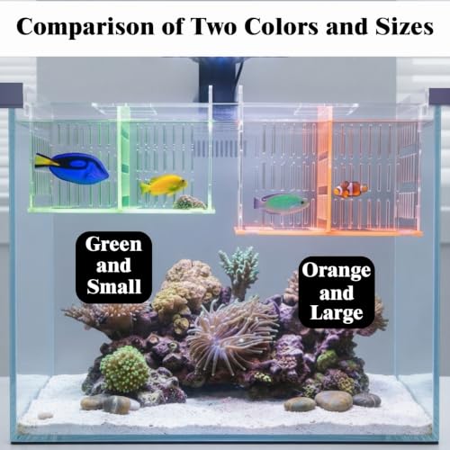 Green Acrylic Aquarium Breeder Box, 7.4x5.3x6.3 in Hang-On Fish Isolation Box with Long Handle Net, Removable Divider & Feeding Hole for Betta Guppy Shrimp Freshwater Saltwater - color: Green, size: 7.4x5.3x6.3in