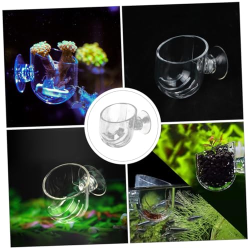 NUOBESTY 2pcs Acrylic Fish Feeder Red Feeding Cup Aquarium Food Holder for Fish Tank Feeding Supplies with Suction Cup Suitable for Live Worms and Shrimp