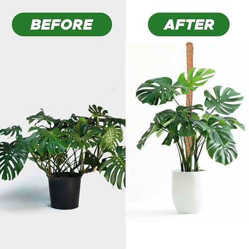 EcoNour 2 Pack Moss Poles for Plants – 28" Monstera Plant Support Stakes, Coir Plant Sticks for Indoor Climbing Plants, Pothos, Philodendron & Houseplants - size: 28 Inches - (2 PCS)
