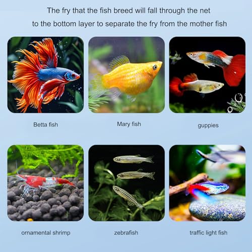 Fish Breeder Box for Raising Fry in Aquariums with Suction Cup Mounting/Floating Breeding Box 3Pcs Floating Hatchery Incubator