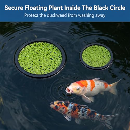 5 Sizes EVA Fish Feeding Ring and 1 Pcs Suction Cup Fish Feeder Ring | 6 Pcs Black Round Floating Rings for Aquarium Set, Floating Rings for Aquarium Betta Goldfish Guppy