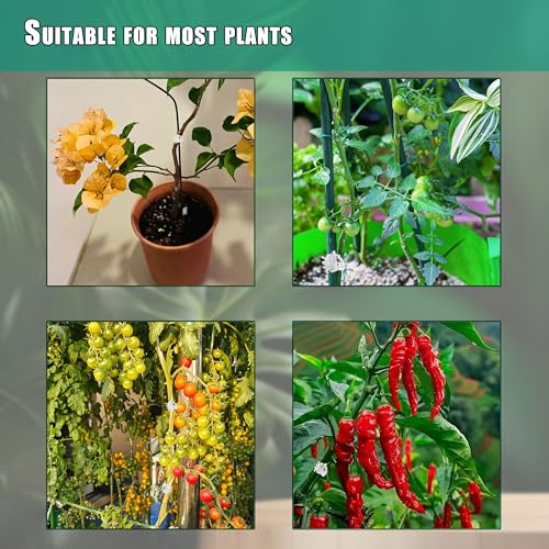 100pc Clear Orchid Clips – 0.79" Opening Clip Plant Clips for Climbing Plants, Plant Wall Clips, Flower & Garden Support Clips, Reusable Mini Plant Cages & Stakes for Patio, Lawn & Greenhouse