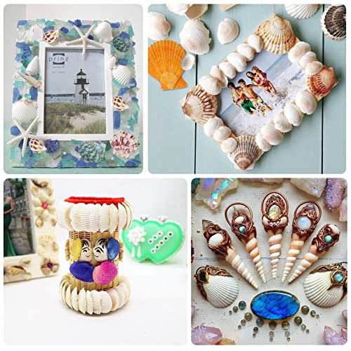 LUCKY BABY Sea Shells Mixed with Sea Glass 7 Ounces for Crafts, Natural Scallop Seashells for Decorating, Seaglass Decor for Fish Tank Vase Fillers Home Deco, Beach Themed Party Wedding | 7oz mix of natural scallop shells and sea glass for fish tank vase