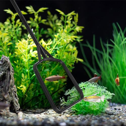 Functional Aquariums Square Fishing Net with Long Handle for Catching Fish Clean Shrimp Tanks Aquariums Tool Aquariums Fish Net Long Handle Aquariums Fish Net Fine Mesh Aquariums Skimming - size: Small