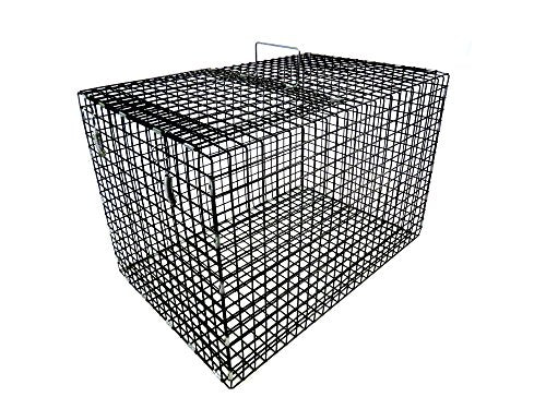 Tomahawk Model 402.4 - Medium Size Coated Fish Live Box