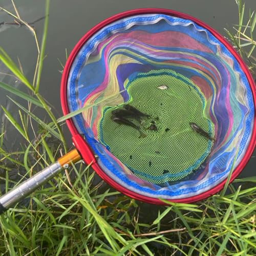 Fishing Net 2 Pack Retractable Lightweight Landing Net with Aluminum Rod Handle Fishing Nets for Youth Catch and Release Butterfly Nets - style: Blue+black