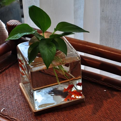 Desktop Betta Fish Bowl Glass with Wood Lid and Bamboo Stand Small Fish Bowl Hydroponic Plant Terrarium Aquarium Starter Kit 0.5 Gallon
