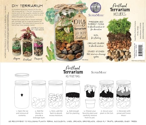 Portland Terrarium kit - DIY Mason Jar Terrarium Kit - color: Clear