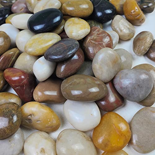 FANTIAN 20 lbs Pebbles for Outdoor Landscaping, 1-2 Inch River Rocks | Polished Pebbles for Plant Indoor, Aquarium, Vase, Fish Tank, Landscaping, Outdoor Garden - size: 1-2 Inch, style: 20 Pounds