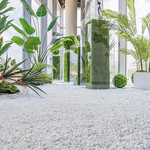 30lb White Polished Pebbles for Plants, 3/8 inch Decorative Rocks | Small Stones for Potted Planters, succulents, Vases, Landscaping Drainage and Outdoor Gardening - size: 30lb, style: White