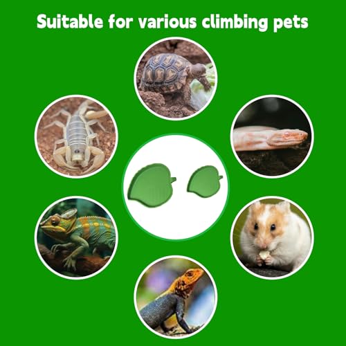 2PCS Reptile Food Water Bowl, Leaf Shape Dish for Tortoise Lizard Gecko | leaf-shaped plastic bowls (2 sizes),durable&bite-resistant.Shallow edges for easy access,easy to clean.For turtles,lizards