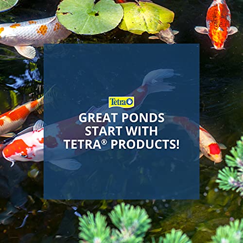 TetraPond Telescoping Pond Net, 14-Inch Diameter Ring (Pack of 3) - size: 1 ct (Pack of 3)