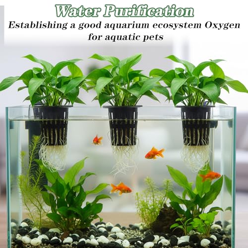 4 Pcs Upgraded Large Aquarium Plant Holder, Aquascape Decorations | with 3 Sizes Extension Hooks, and 8 Suction Cups, for Fish Tank, Aquaponic Plant Cultivation, and Hanging Aquatic Plants