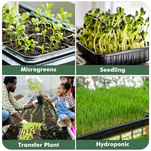 Sckee Upgraded 10 Pack Plant Growing Trays Seed Starting Tray Microgreens Growing Trays Seedling Plant Germination Starter Tray Transplant Fodder Flats, No Holes, No Leakage, Reusable (1017) - size: 1017