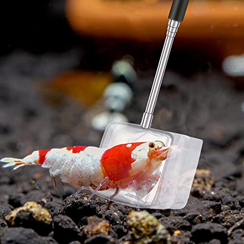 4 Pieces Fish Tank Shrimp Net Extendable Handle Shrimp Net Stainless Steel Small Aquarium Catch Mesh with Adjustable Handle for Aquarium Fish Tank Pond - color: Black