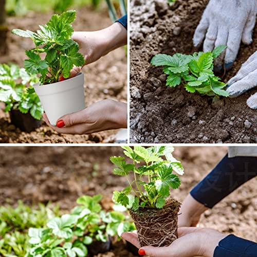 SwinDuck 28 Pack 4 inch Small Plant Pots, Plastic Planters with Drainage Holes and Saucers for Flowers Plants, Succulents, Seed Starting Pots, White - color: White