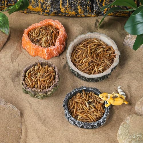 IBWell 2pcs Reptile Water Bowl with Feeding Tweezers - Food Dish for Lizard, Snake, Tortoise & Small Animals - Gray Tree Stump