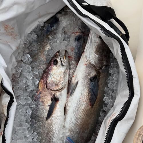 Buffalo Gear Insulated Fish Cooler - 27.5QT 58QT Waterproof Flat Bottom Bag, Leakproof and Fishing Kill Bag - color: White-69QT