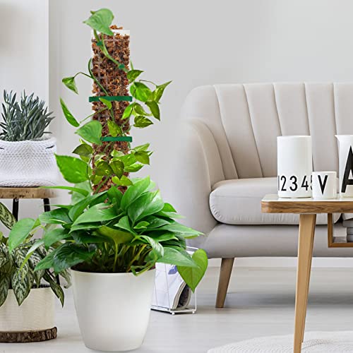 EOX Plastic Moss Pole for Monstera and Climbing Plants, 24-Inch, 2-Pack | Clear D-Shaped Design, Fold-to-Assemble, Sphagnum Moss Not Included, Helps Retain Moisture, Rooting Grid for Aerial Roots