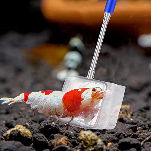 4 Pieces Fish Tank Shrimp Net Extendable Handle Shrimp Net Stainless Steel Small Aquarium Catch Mesh with Adjustable Handle for Aquarium Fish Tank Pond - color: Blue