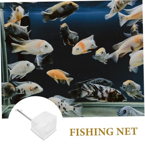 Mikinona 3pcs Adjustable Stainless Steel Fishing Nets with Fine and Coarse Mesh, Portable Shrimp and Small Fish Nets for Kayak, Boat, Aquarium, and Fishing Accessories