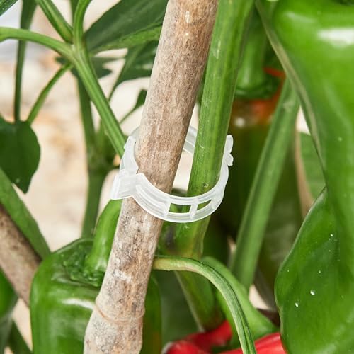 CIQIYO® 100 Pcs Plant Support Clips,Plastic Clips for Securing Plants | Plant Fixing Clips,Garden Clips for Climbing Plants,Tomato,Grape and Vine Vegetables,Reusable(100, White) - color: White