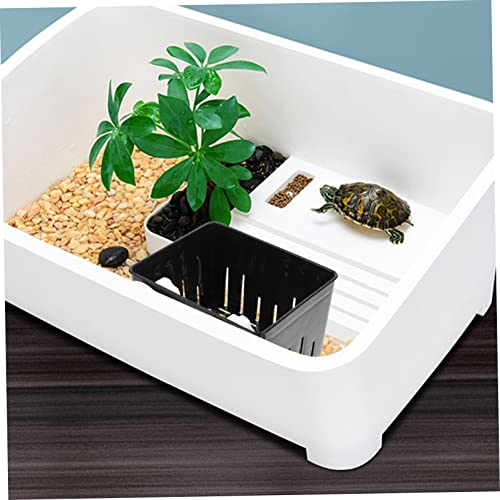 Mikikit 1 Set Aquarium Fish Breeding Box Tortoise Hatching Isolation Box with Feeding Trough Lightweight Divider for Betta Fish Nursery Legs Suction Cups - color: Black