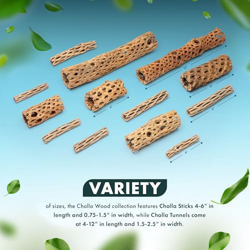 Natural Cholla Wood - Driftwood for Aquariums, Air Plant Base, Hermit Crab and Freshwater Shrimp Hideout, Fish Tank Decoration, Chinchilla Chews, Reptile Habitat Wood - 6 Inch, 3pc - size: 6 Inch, 3pc