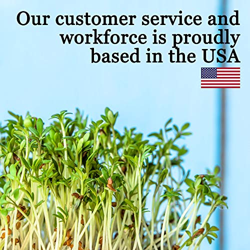Handy Pantry 10-Pack 1010 Garden Growing Trays Without Drain Holes | 10" x 10" Plastic Plant Trays - Wheatgrass Sprouting Tray, Microgreens Seed Tray, Hydroponic Trays, Nursery Flats - style: Without drain holes