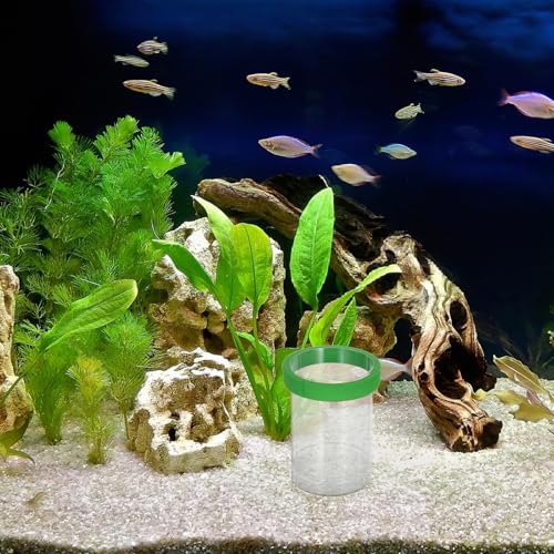Aquarium Isolation Box Floating Breeding Hatchery Fish Tank Egg Incubator Holder for Guppy Fry and Small Fish Nursery