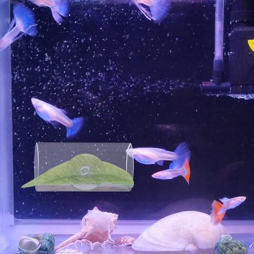 WishLotus Betta Fish Tube Tunnel, Transparent Acrylic Betta Fish Accessories with Suction Cups, Betta Fish Toys Hideout Tube for Small Fish Shrimp (Transparent)