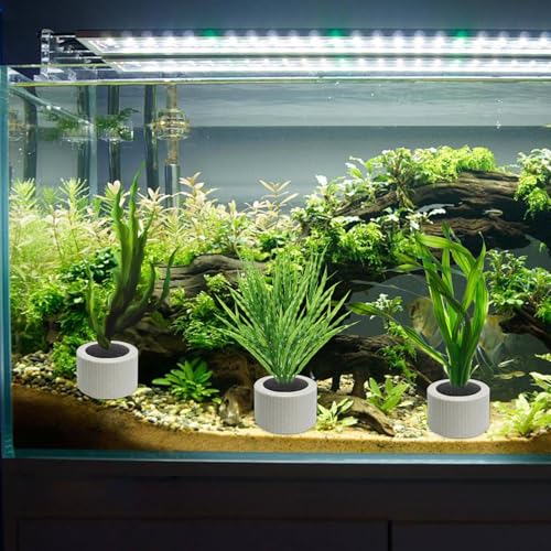 12 PCS Aquarium Plant Weight Ceramic Ring with Black Sponge