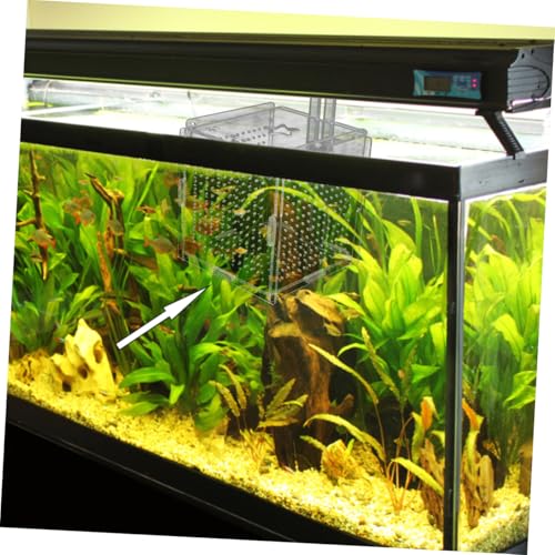 GANAZONO 1set Fish Isolation Box Cups and Hook Acrylic Fish Tank Hatching Incubator for Betta and Shrimp Prevents Design for Easy Feeding and Safe Breeding
