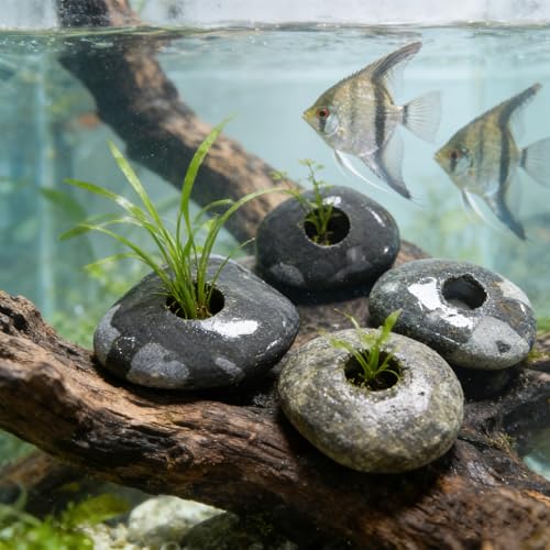 6PCS Aquarium Plant Weights, Live Rocks, Plant Weights for Fish Tank, Unique Shape and Size, Suitable for Decorating Fish Tanks, 0.75" Hole - size: One Hole