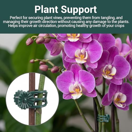 80 Pcs Standard Orchid Clips Plant Clips Flower Vine Dark Green | for Support Small Plant, Orchid Support Clip, for Climbing Plants, Garden Stem, Grow Upright