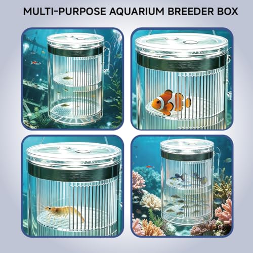 Floating Breeder Box for Fish Tank, Acrylic Baby Aquarium Isolation Box Hatchery Incubator Tank with Suction Cups for Guppy, Betta, Clownfish, Baby Fish, Shrimp & Injured Fish (M) - size: M