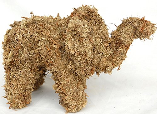 Elephant Sphagnum Moss Topiary Form - Baby
