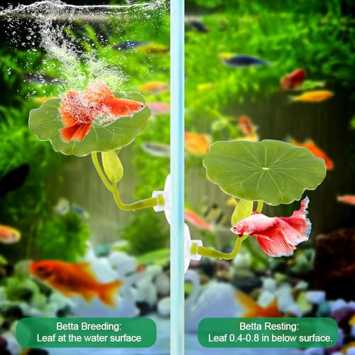 Betta Hammock & Hideout Set – 5PCS Soft Plants & Acrylic Tube Tunnel for Betta Tank