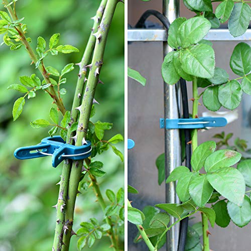 PERSZEN 60PCS Plant Clips 2 Sizes Adjusting Reusable Garden Plant Supports Clips for Supporting Stems of Flower Vine Vegetables Tomatoes Climbing