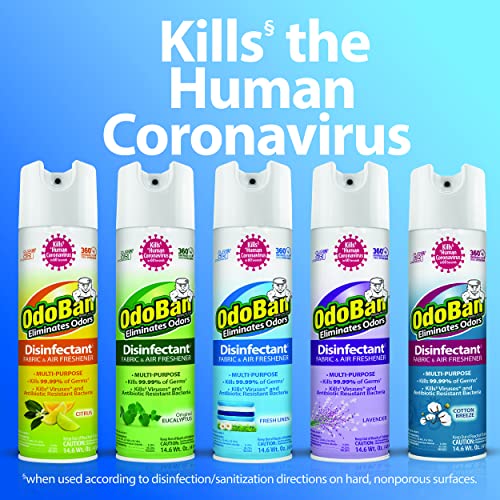 OdoBan Ready-to-Use 360-Degree Continuous Spray Disinfectant & Harsh Aroma Eliminator, Fabric and Air Freshener, Made in the USA, Original Eucalyptus Scent, 14.6 Ounces - size: 14.6 Fl Oz (Pack of 1)