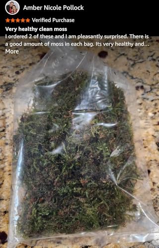 Swimming Creatures™ Live Aquarium Plants (Java Moss (25sq inch Portion)) - color: Java Moss (25sq inch Portion)