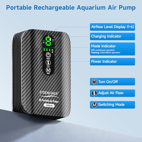 Rechargeable Bait Aerator Pump with Clip | Portable dual-mode air pump for bait buckets, fishing trips, crawfish, and aquarium backup; clip-on design - color: light black