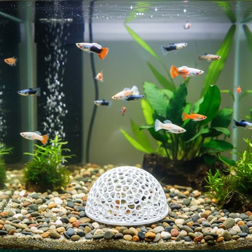 2 Pack Shrimp Hides for Aquarium Shrimp Dome Hide Fish Tank Porous Cave Shelter Hideout Ornament Tunnel Cave for Aquarium Small Fish Habitat Rest Hides Breeding
