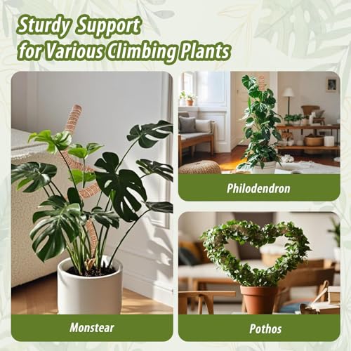 2 Pack Moss Pole, 63 Inch Monstera Plant Support, Moss Poles for Climbing Indoor Plants, Bendable Coco Coir Plant Support Stakes for Potted Plants, Pothos, Philodendron - size: 63"- 2 pack