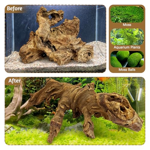 kathson Large Natural Aquarium Driftwood Reptiles Branches Terrarium Ornament Sinkable Wood Decor Trunk Fish Tank Log Habitat Decoration (11"-17") - size: XL:1 Pack(11 - 17 inches)