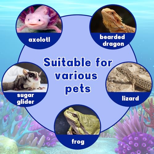Axolotl Hammock Ledge for Aquarium with Feeding Dish and Feeding Tweezers,Axolotl Hammock with Ceramic Tray Feeder Bowl, Axolotls Accessories for Tank, Bearded Dragon Tank Accessories (7.8x3.9in)