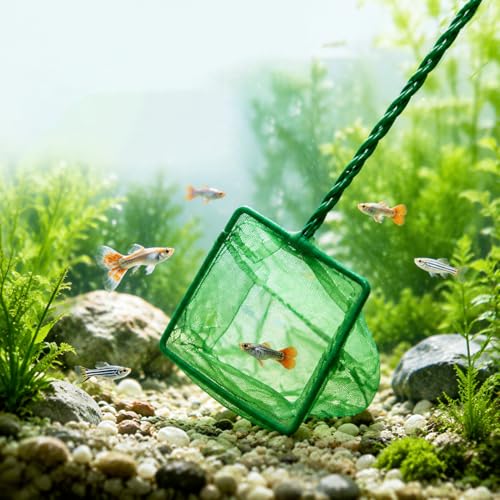 2 Pack Aquarium Fish Net, 4 Inch Fine Mesh Fish Tank Net with Durable Braided Handle, Small Net for Fish, Shrimp, Debris Cleaning in Aquarium, Pond & Pool